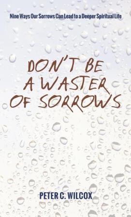 Don't Be a Waster of Sorrows: Nine Ways Our Sorrows Can Lead to a Deeper Spiritual Life