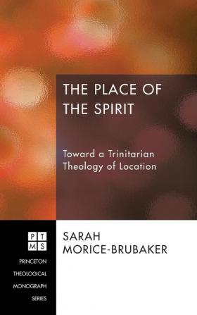 The Place of the Spirit: Toward a Trinitarian Theology of Location: 197 (Princeton Theological Monograph)