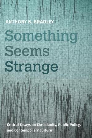 Something Seems Strange: Critical Essays on Christianity Public Policy and Contemporary Culture