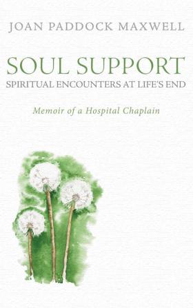 Soul Support: Spiritual Encounters at Life's End