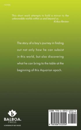 Story of a Boy: A Little Green Book of Real Fiction