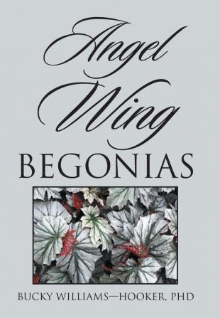 Angel Wing Begonias