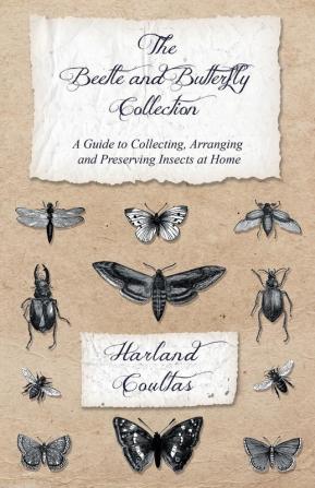 The Beetle and Butterfly Collection - A Guide to Collecting Arranging and Preserving Insects at Home