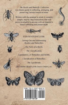 The Beetle and Butterfly Collection - A Guide to Collecting Arranging and Preserving Insects at Home