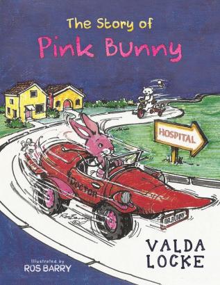 The Story of Pink Bunny