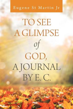 To See a Glimpse of God  a Journal by E. C.