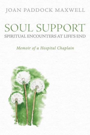 Soul Support: Spiritual Encounters at Life's End