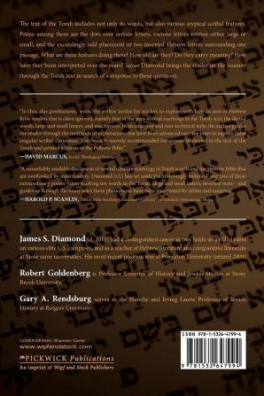 Scribal Secrets: Extraordinary Texts in the Torah and Their Implications