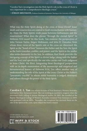 The Spirit at the Cross: Exploring a Cruciform Pneumatology (Australian College of Theology Monograph)