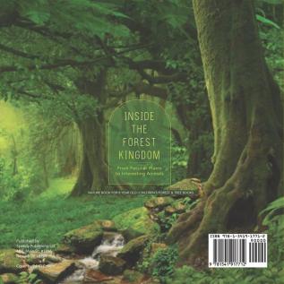 Inside the Forest Kingdom - From Peculiar Plants to Interesting Animals - Nature Book for 8 Year Old Children's Forest & Tree Books