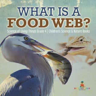 What is a Food Web? Science of Living Things Grade 4 Children's Science & Nature Books