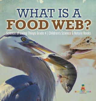 What is a Food Web? Science of Living Things Grade 4 Children's Science & Nature Books