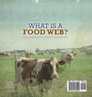 What is a Food Web? Science of Living Things Grade 4 Children's Science & Nature Books