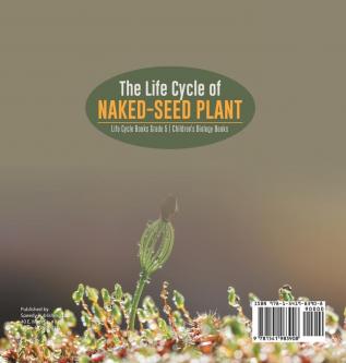 The Life Cycle of Naked-Seed Plant Life Cycle Books Grade 5 Children's Biology Books