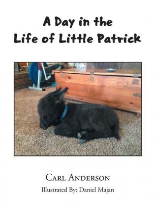 A Day in the Life of Little Patrick