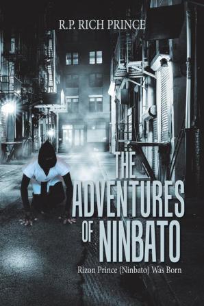 The Adventures of Ninbato