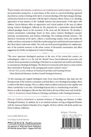 Mestizo/a Community of the Spirit: a Postmodern Latino/a Ecclesiology: 105 (Princeton Theological Monograph)