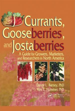 Currants Gooseberries and Jostaberries