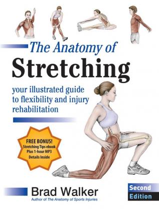 The Anatomy of Stretching