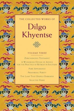 The Collected Works of Dilgo Khyentse Volume Three