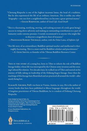 From the Heart of Tibet: The Biography of Drikung Chetsang Rinpoche the Holder of the Drikung Kagyu Lineage