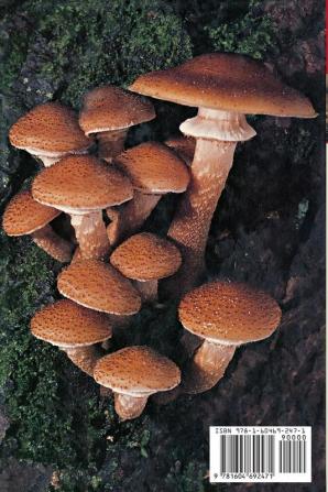 Edible and Poisonous Mushrooms of the World