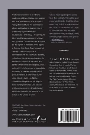 Opening King David: Poems in Conversation with the Psalms (Emerald City Books)