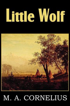 Little Wolf a Tale of the Western Frontier