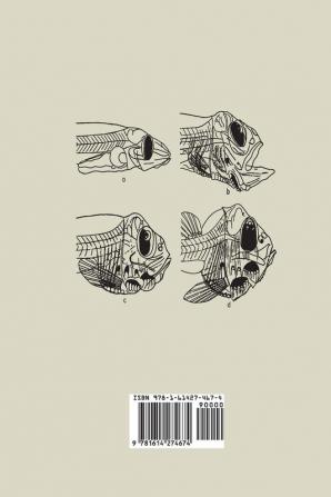 The Vertebrate Eye and Its Adaptive Radiation