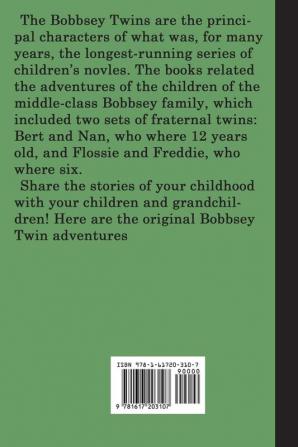 The Bobbsey Twins In and Out