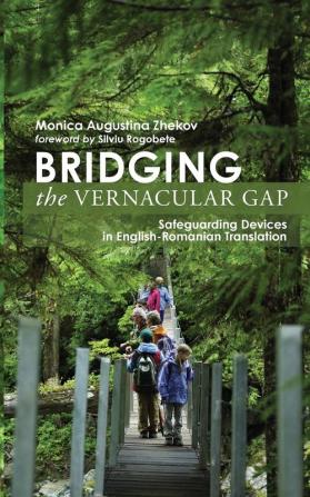 Bridging the Vernacular Gap: Safeguarding Devices in English-Romanian Translation