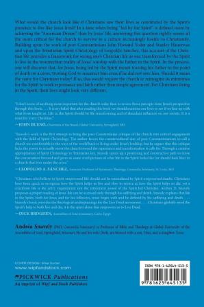 Life in the Spirit: A Post-Constantinian and Trinitarian Account of the Christian Life: 9 (Pentecostals Peacemaking and Social Justice)