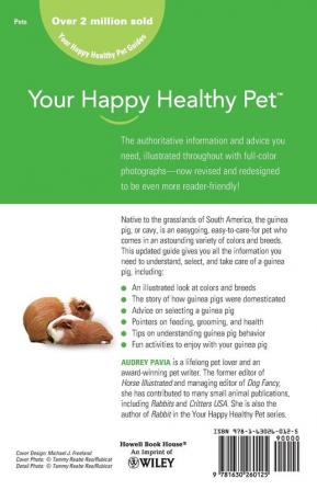Guinea Pig