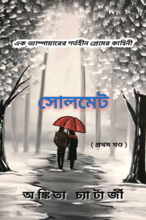 Soulmate / সোলমেট : Ek bhyampeyarer Shartaheen Prem Kahani