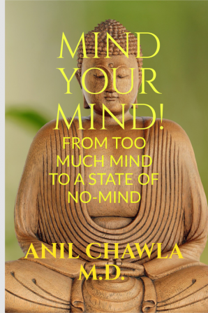 Mind your Mind! : A journey from too much mind to a state of No-Mind!