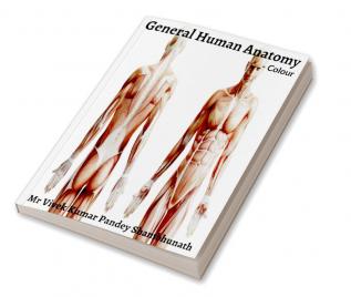 General Human Anatomy Colour