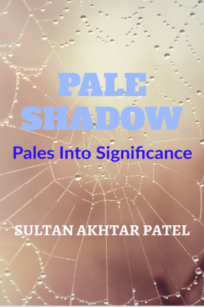 PALE SHADOW : Pales Into Significance