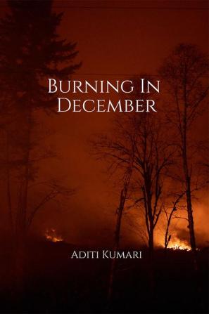 Burning In December : Thoughts of a 14 year old that remained unsaid until now.