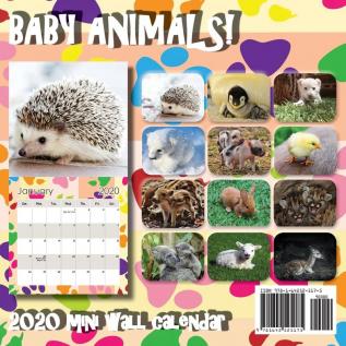 Baby Animals! 2020 Mini Wall Calendar