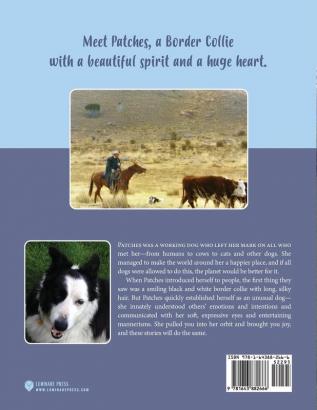 Cowgirl: The Life & Times of a Special Border Collie