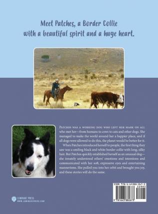 Cowgirl: The Life & Times of a Special Border Collie