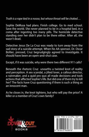 Driving Reign: 2 (de la Cruz Case Files)