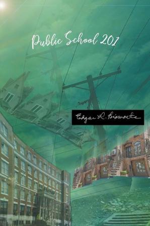 Public School 201