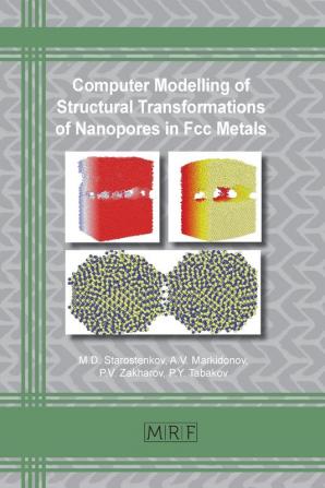 Computer Modelling of Structural Transformations of Nanopores in Fcc Metals: 63 (Materials Research Foundations)