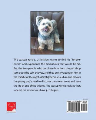 Hero Dog: A Teacup Yorkie Adventure