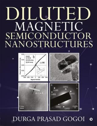 Diluted Magnetic Semiconductor Nanostructures