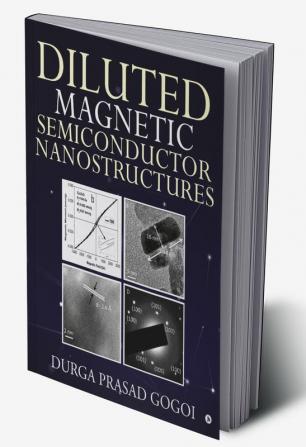 Diluted Magnetic Semiconductor Nanostructures