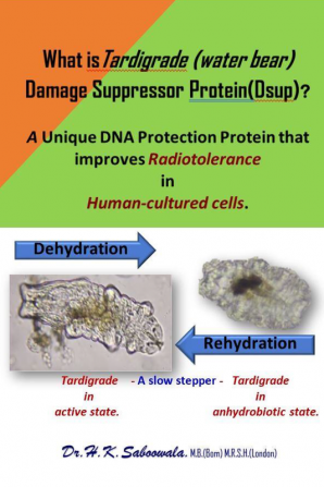 “What is Tardigrade Damage(Water Bear) suppressor Protein(Dsup)? : A Unique DNA-associated Protein improves Radiotolerance in Human-cultured cells.’