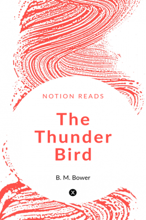 THE THUNDER BIRD