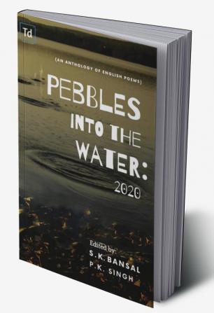 Pebbles into the Water: 2020